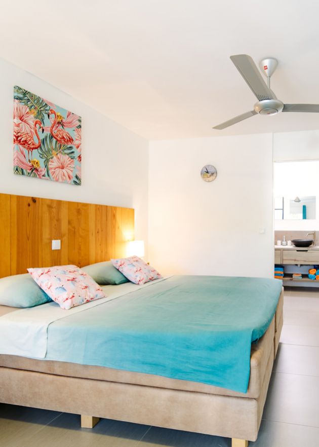 Kas Amigu - Studio Plumeria